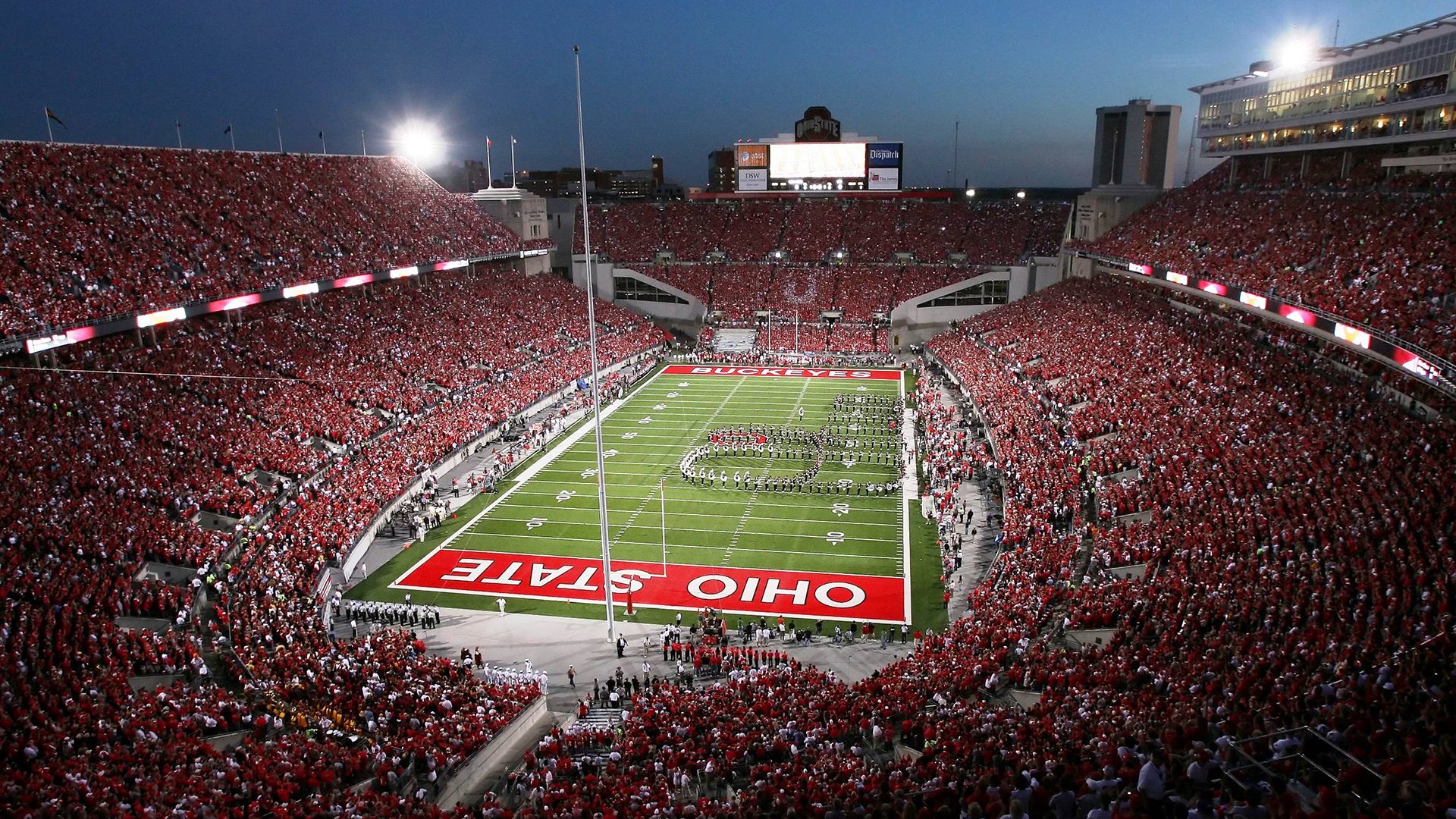 天赋异禀：挡不住的赛场明星，天赋异禀的演员名单